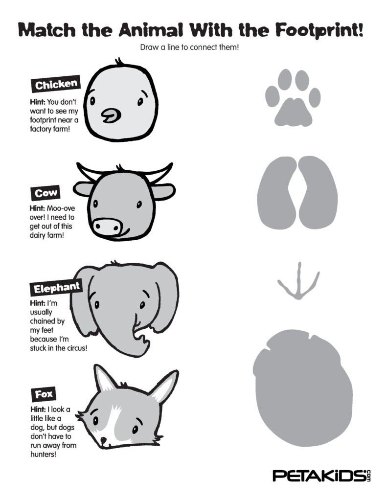 Animal Footprints Match Them All PETA Kids