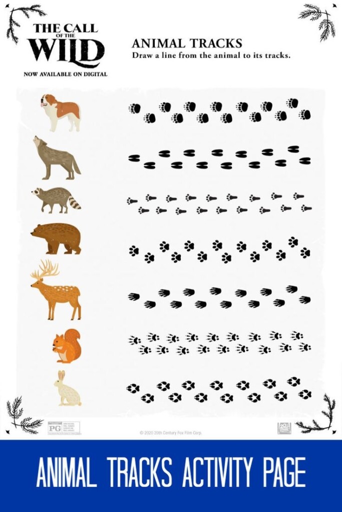 Free Printable Animal Tracks Activity Page