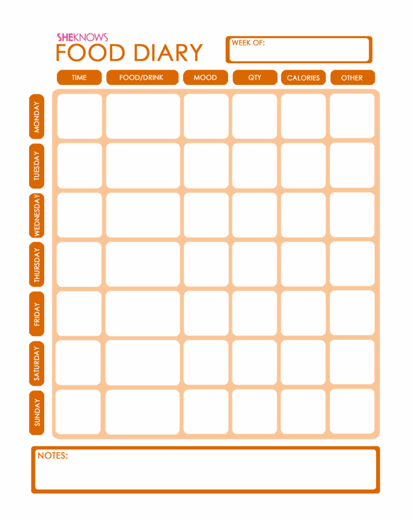 Free Printable Food Diary Template