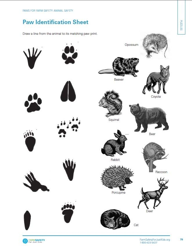 17 Best Images About Cub Scouts On Pinterest Activities Wolf Scouts 
