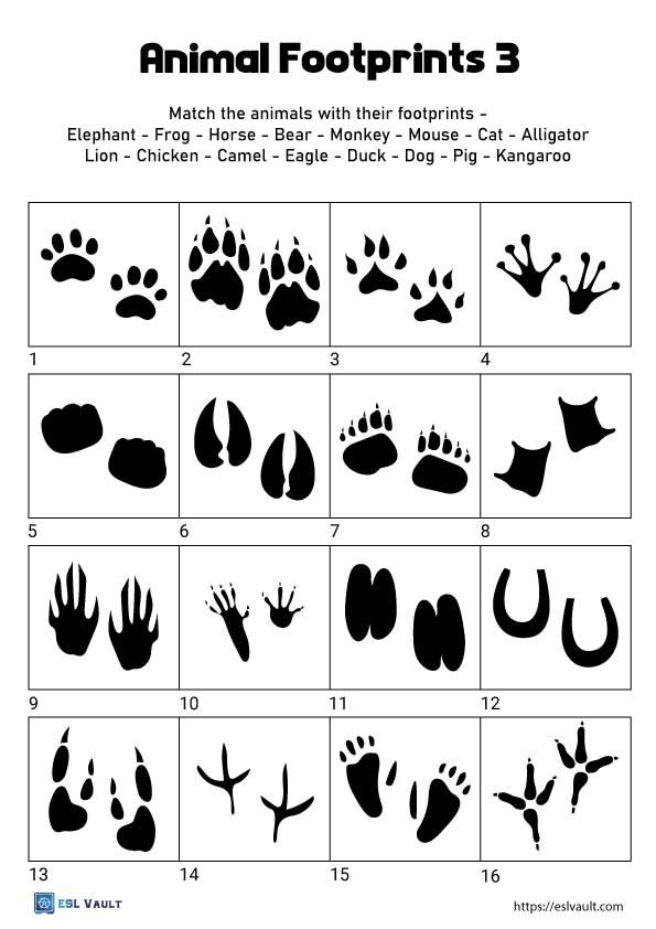 3 Animal Footprints Worksheets ESL Vault