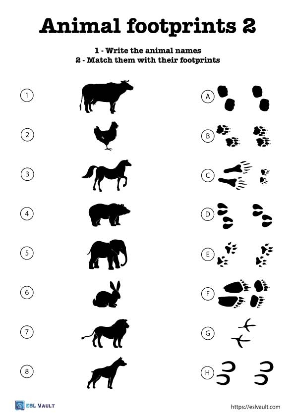3 Animal Footprints Worksheets ESL Vault