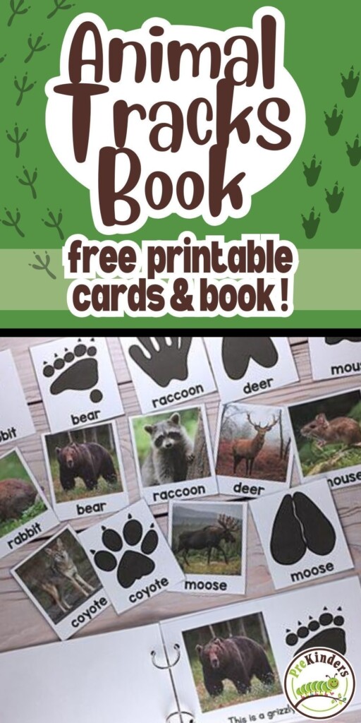 Animal Tracks Book In 2024 Animal Tracks Animal Learning Early 