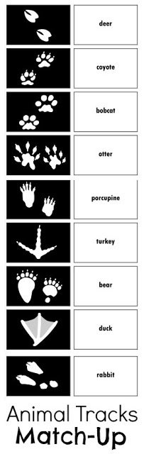 Animal Tracks FREE Printable Matching Game
