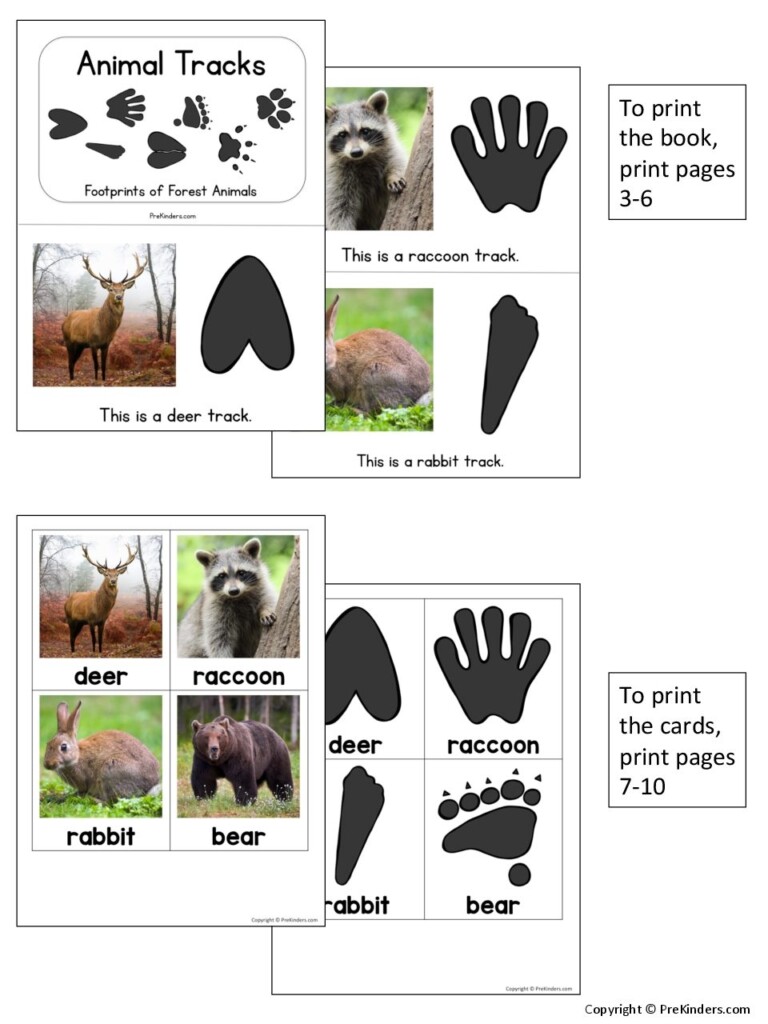 Animal Tracks Printable