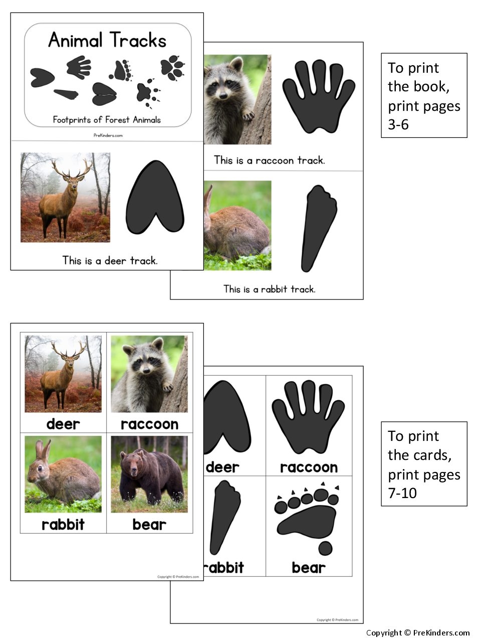Animal Tracks Printable