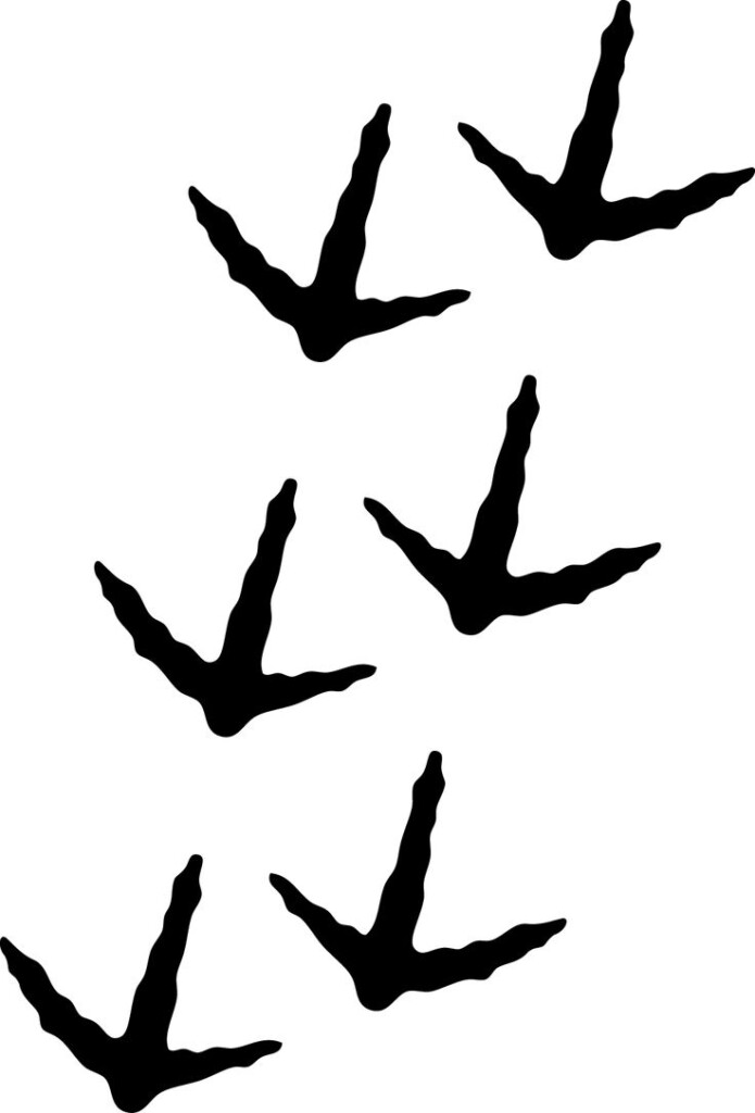 Bird Footprint Clipart 20 Free Cliparts Download Images On Clipground 