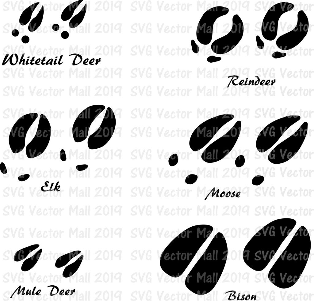 Deer Tracks SVG Tracks Animal Prints Whitetail Deer Track Etsy Deer 