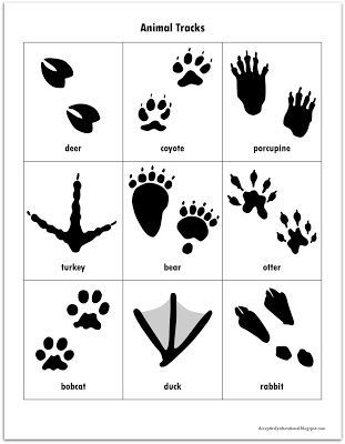 Free Animal Tracks Matching Game Printables Animal Tracks Animal