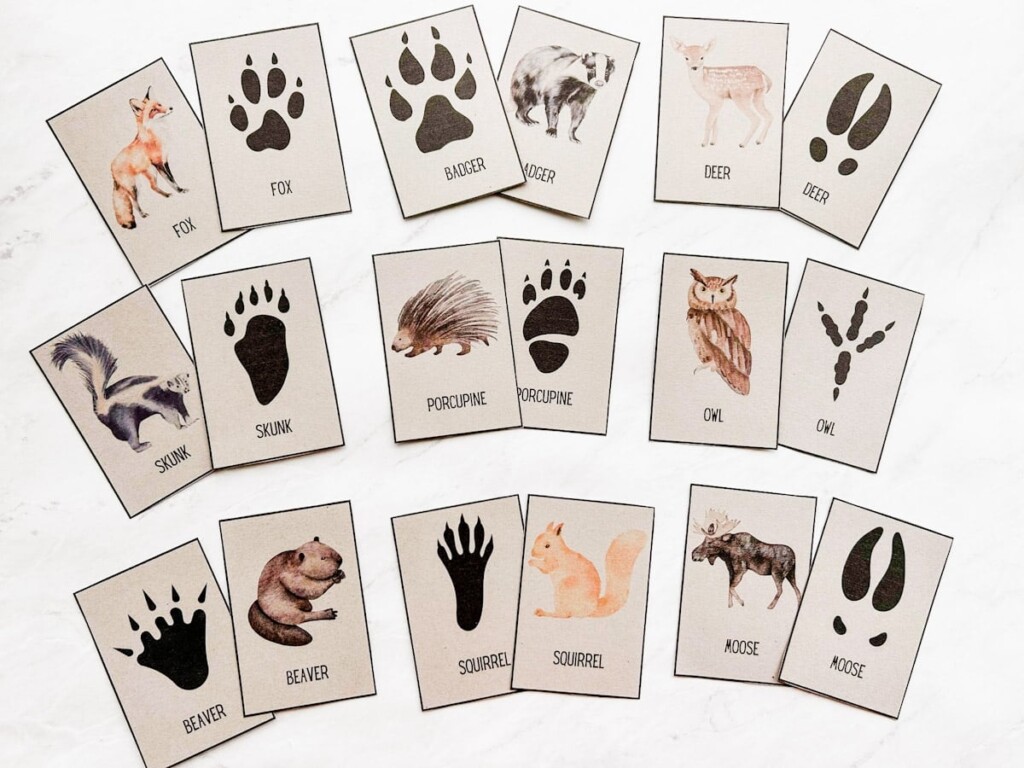 Free Animal Tracks Printable Cards Nature Activity Fox Farm Home