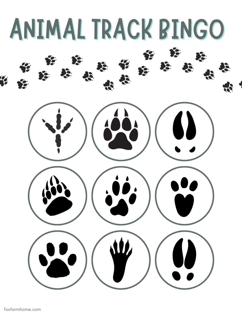 Free Animal Tracks Printable Cards Nature Activity Fox Farm Home