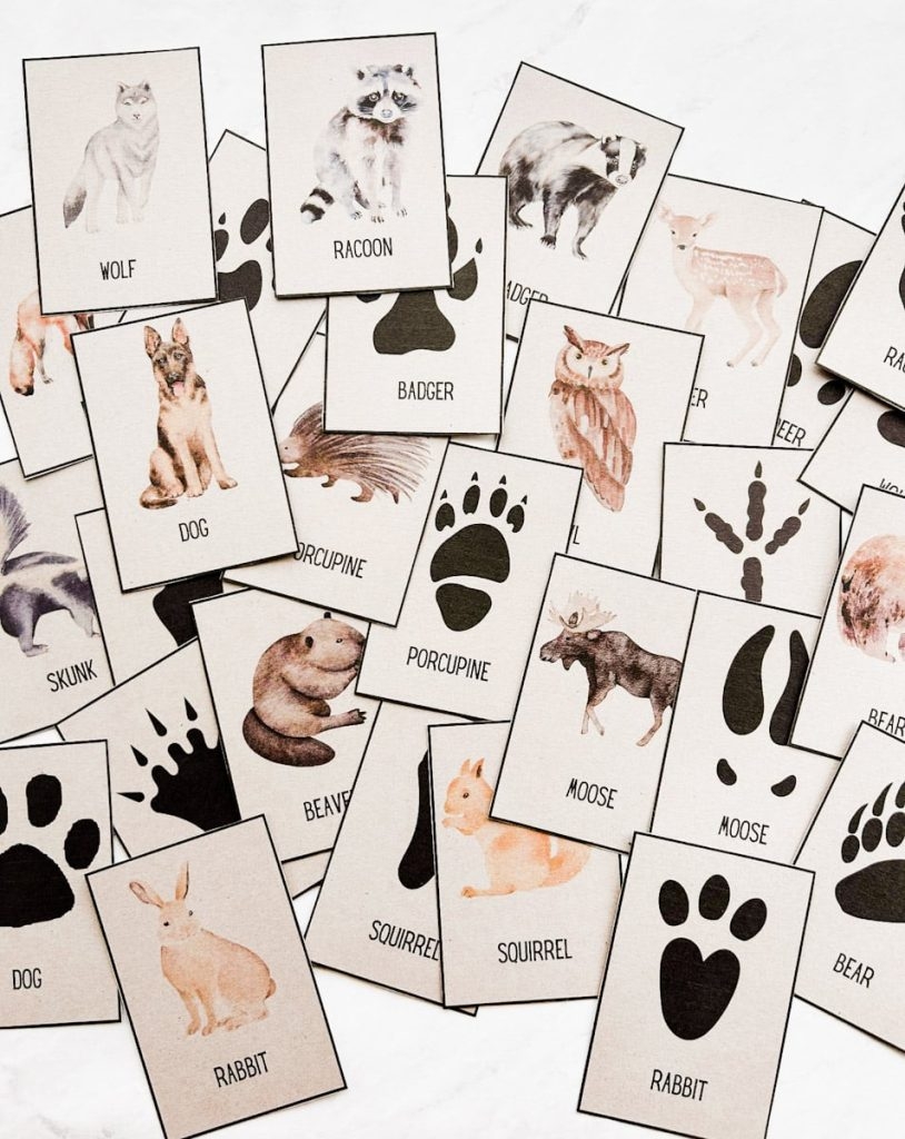 Free Animal Tracks Printable Cards Nature Activity Fox Farm Home