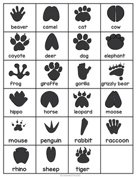 Free Animal Tracks Visual Perception Activities And Worksheets TpT
