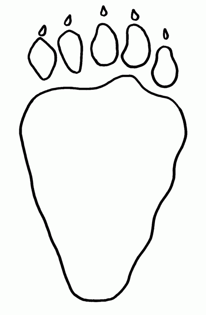 Free Bear Footprint Download Free Bear Footprint Png Images Free 