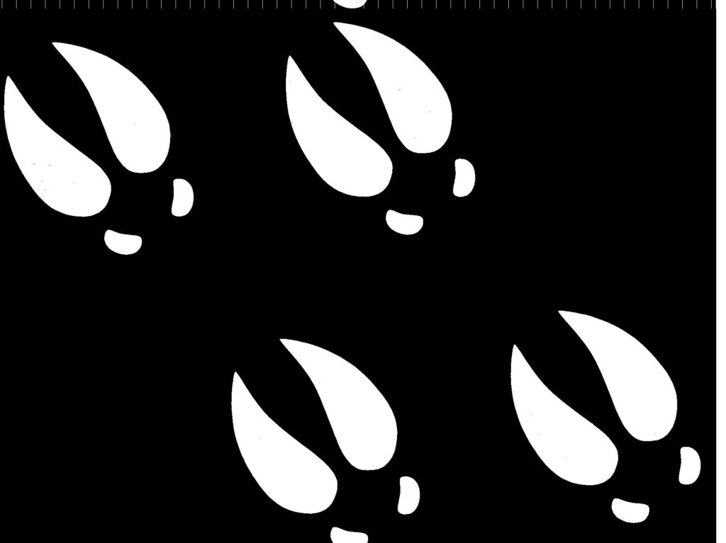 Free Deer Footprints Cliparts Download Free Deer Footprints Cliparts 