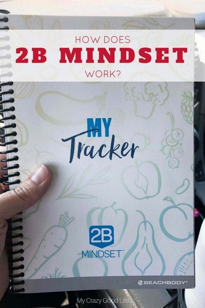 Free Printable 2B Mindset Tracker Pdf Printable Word Searches