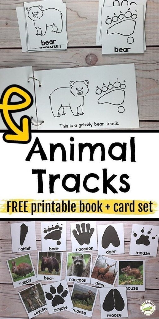 FREE Printable Animal Tracks Book In 2023 Forest Animals Preschool 