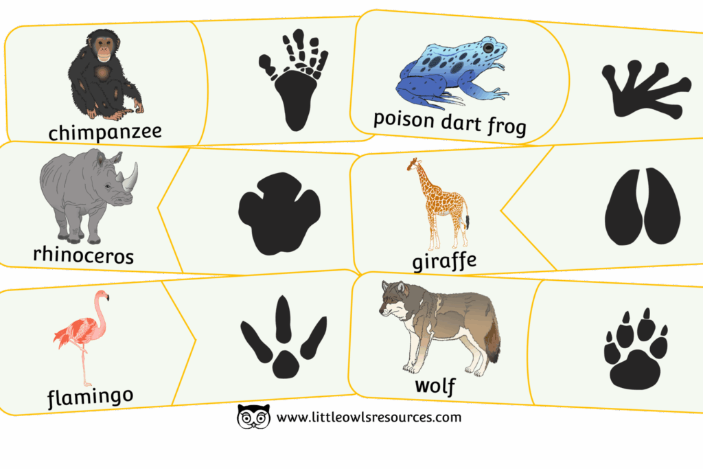 Free Printable Animal Tracks Matching Game