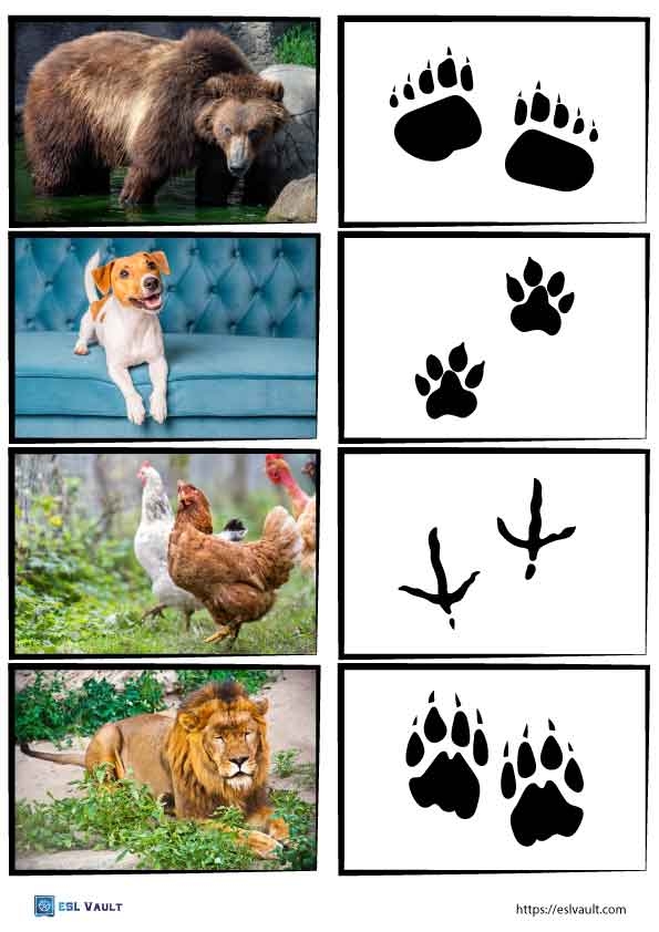 Free Printable Animal Tracks Matching Game ESL Vault