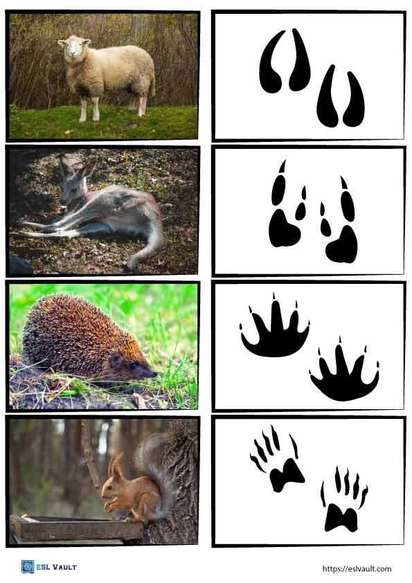 Free Printable Animal Tracks Matching Game ESL Vault