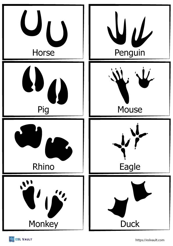 Free Printable Animal Tracks Matching Game ESL Vault