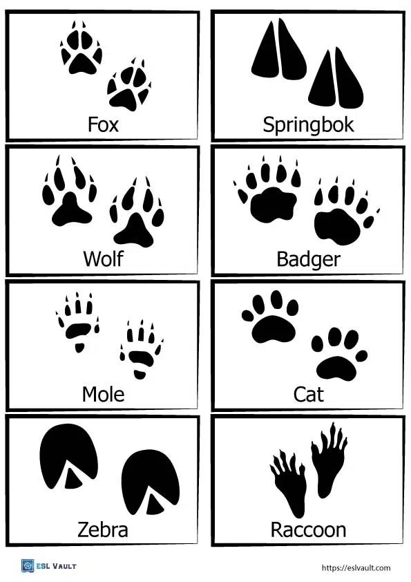 Free Printable Animal Tracks Matching Game ESL Vault Animal Tracks 