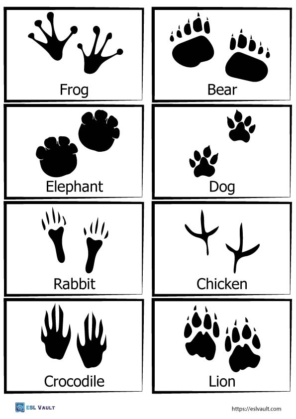 Free Printable Animal Tracks Matching Game ESL Vault