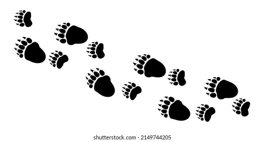 Grizzly Bear Tracks Paw Prints
