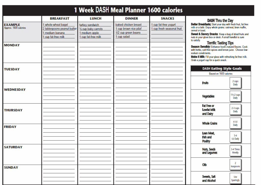 One Day DASH Tracker 1600 Calories