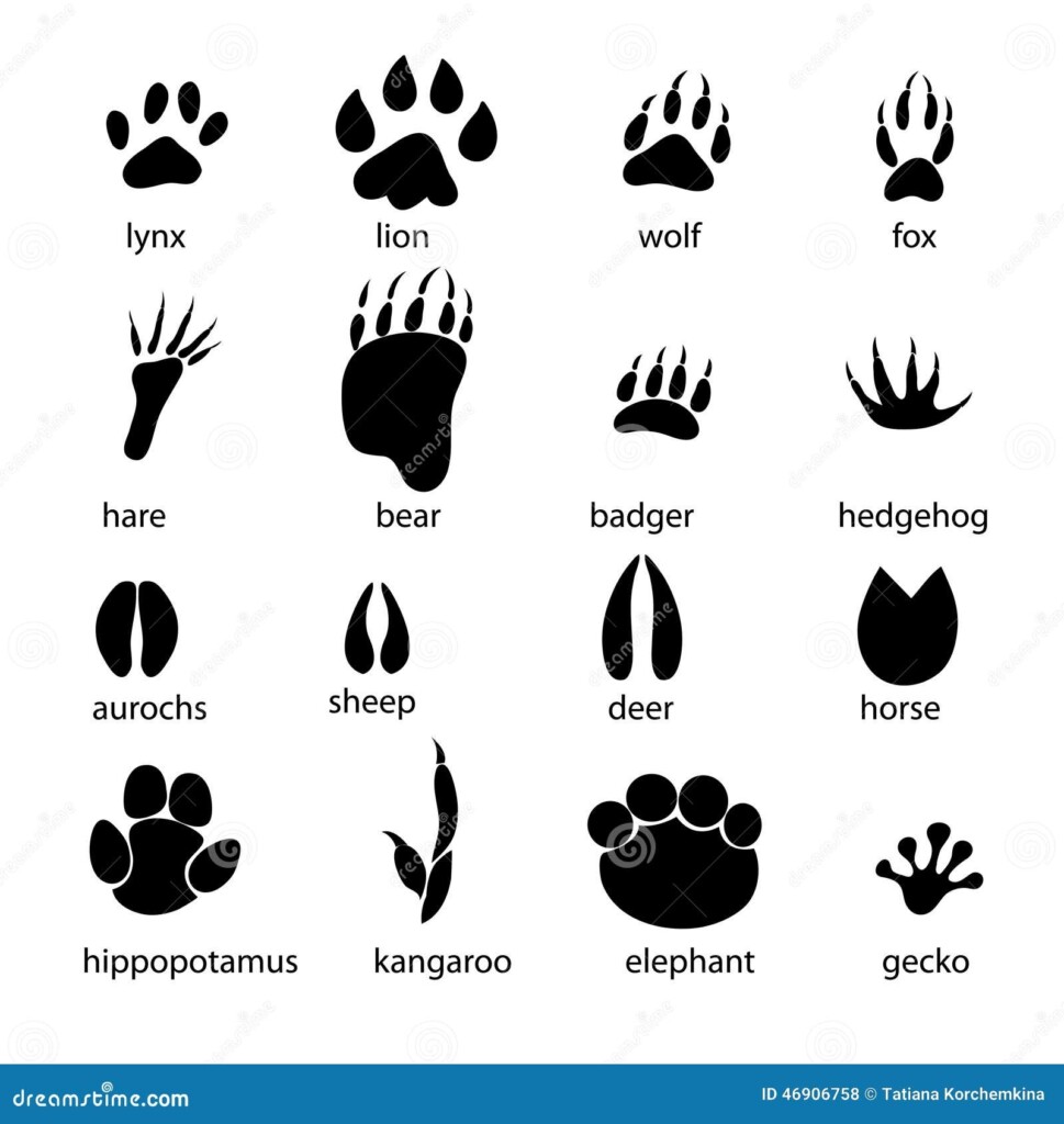 Printable Animal Tracks For Children