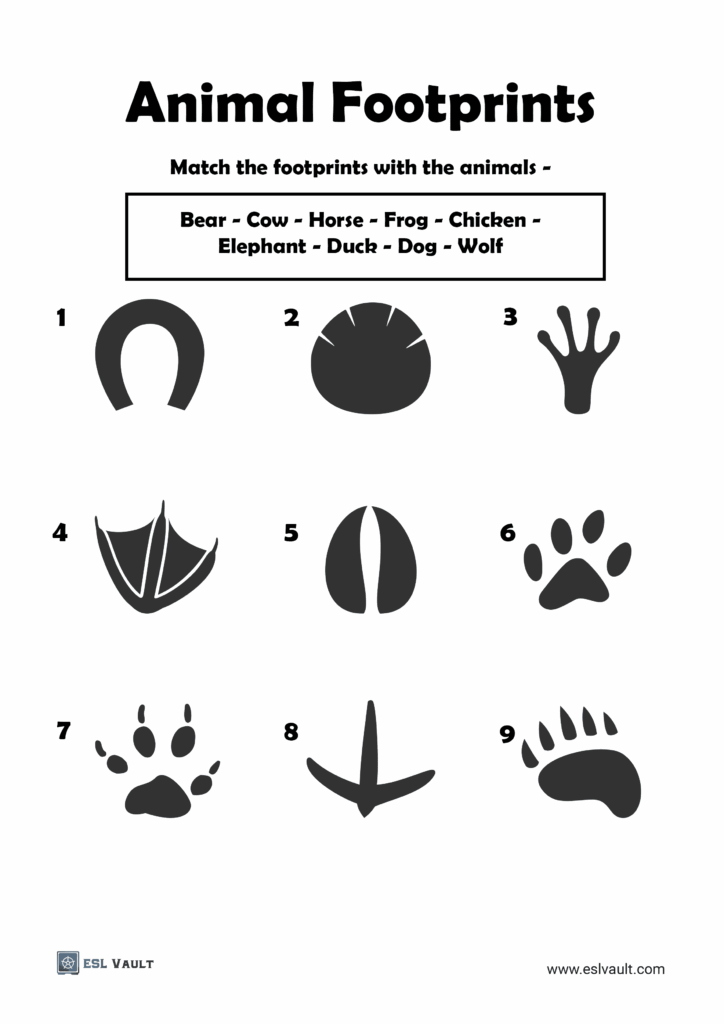 Printable Pictures Of Animal Tracks Coloring Pages