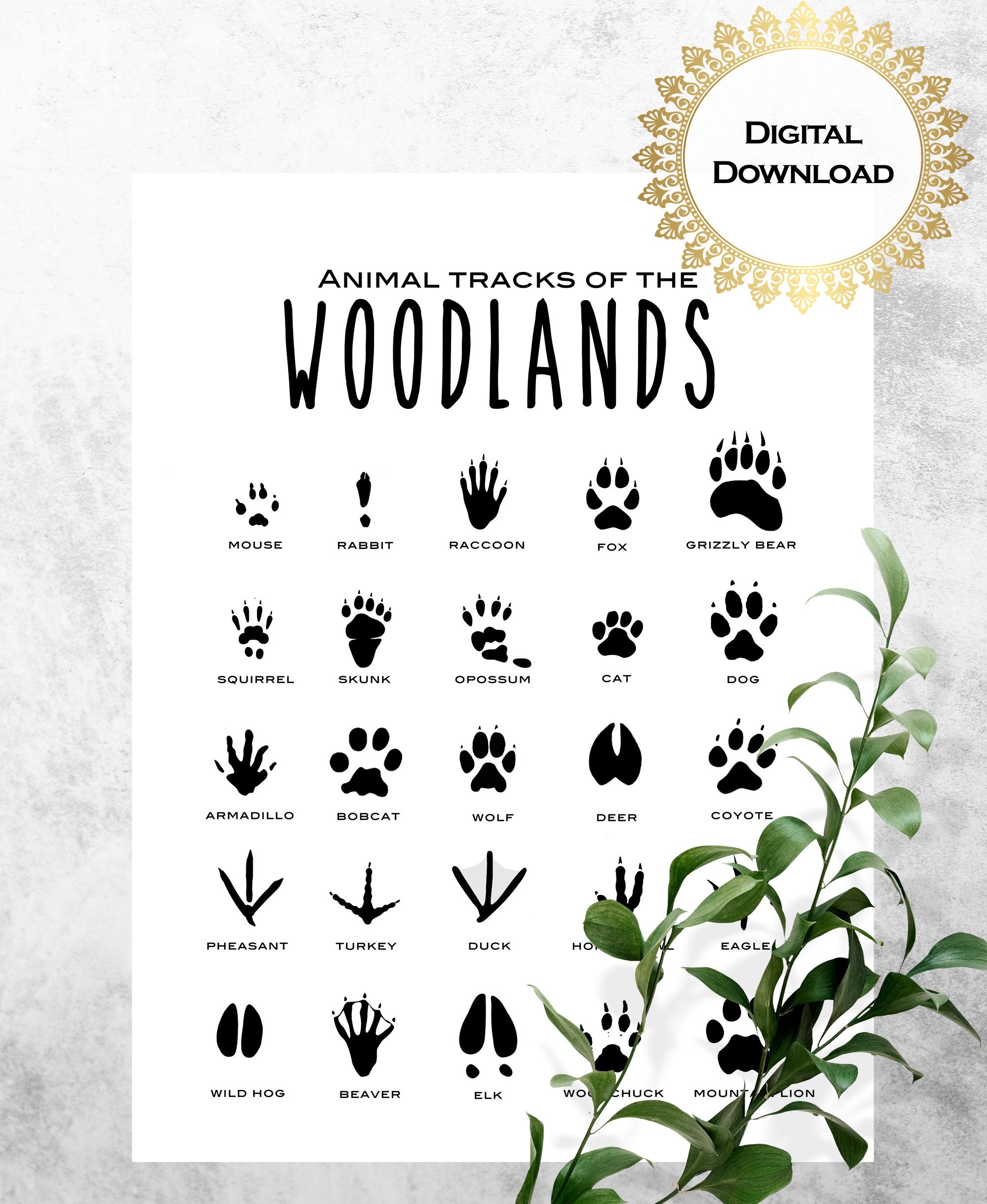 Animal Tracks Print Animal Tracks Of The Woodland Printable Animal Tracks Poster Download Forest Animal Tracks Sign Tracks Chart Etsy