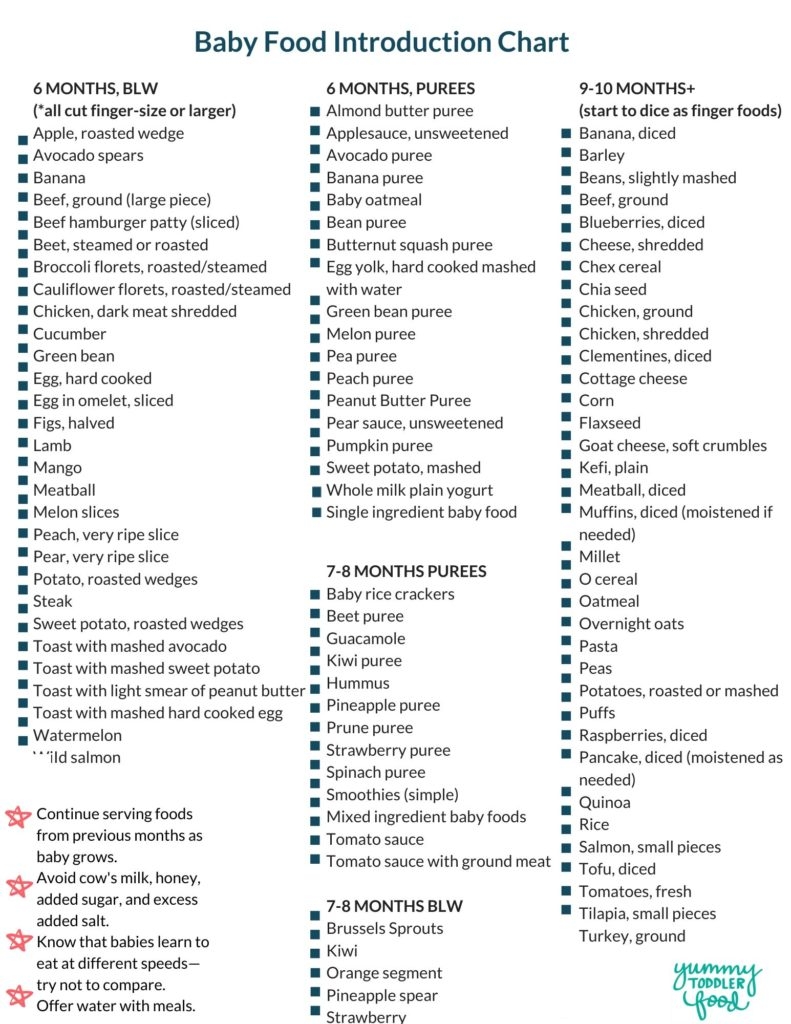 Printable Baby Food Chart BLW Purees Finger Foods